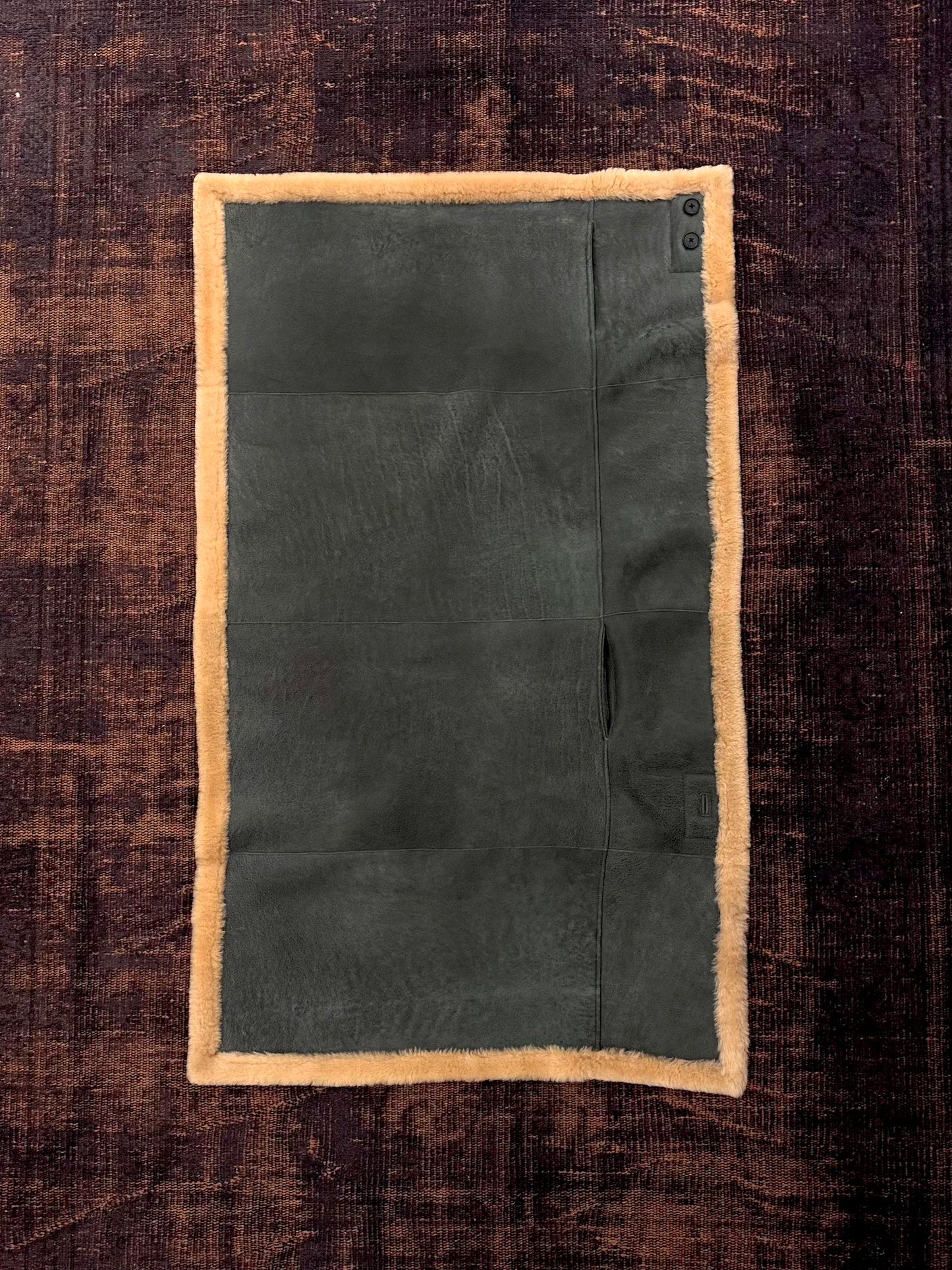 daisuke tanabe　poseidon