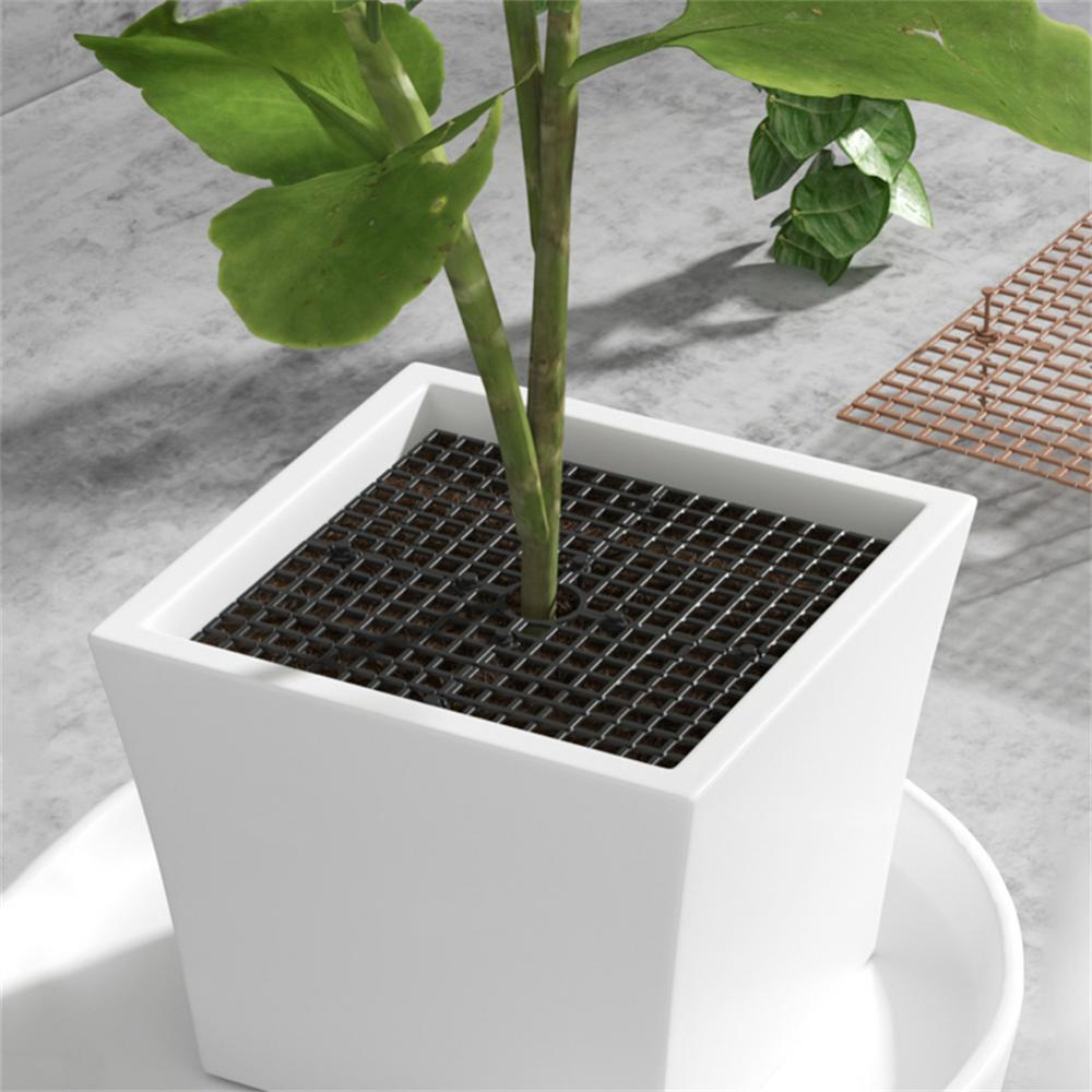 Encore Store™ Plant Soil Cover